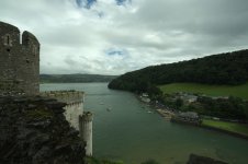 IMG_7931.jpg IMG_7931.jpg