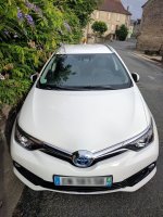 Auris2.jpg