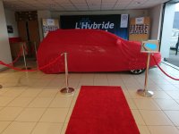 AURIS HSD DESIGN BUSINESS - 2.jpg