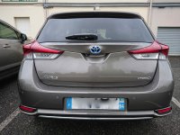 AURIS HSD DESIGN BUSINESS - 2 (2).jpg