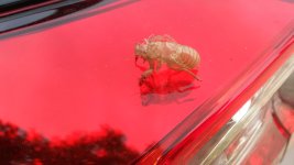 20170708_092433.jpg 20170708_092433.jpg