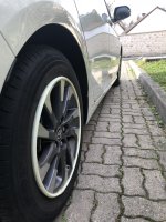 IMG_3705.JPG