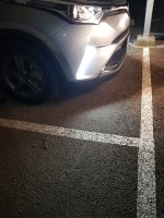 20180409_225541.jpg