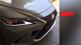 Lexus.jpg